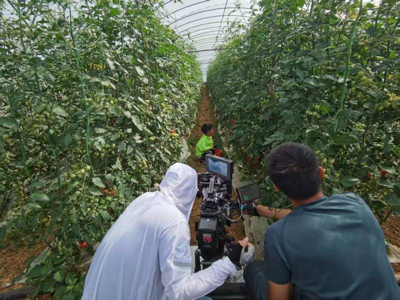 江海区产品宣传视频拍摄公司进阶指南，助力品牌抢占传播高地